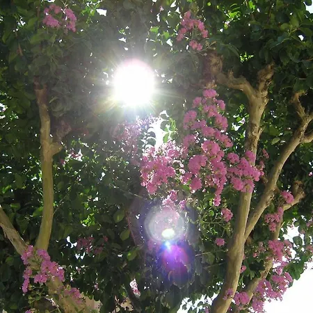 Via Verdi Bed & Breakfast