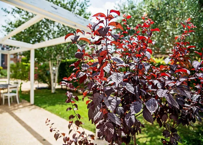 Via Verdi Couette-café 3*