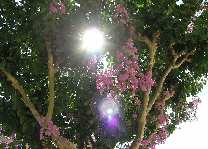 Via Verdi Couette-café