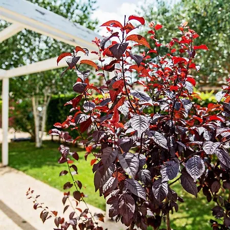 Via Verdi Bed and Breakfast 3*